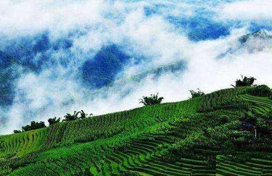 云南省普洱市十大旅游景點(diǎn)排行榜 普洱有什么好玩的地方