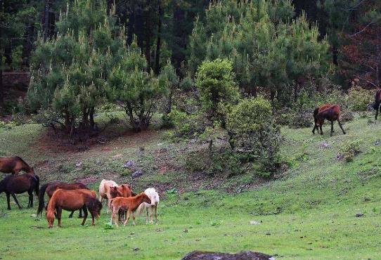 云南省怒江市十大旅游景點排行榜 怒江有什么好玩的地方