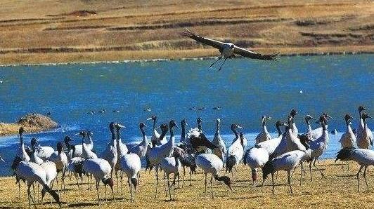 云南省昭通市十大旅游景點排行榜 昭通有什么好玩的地方