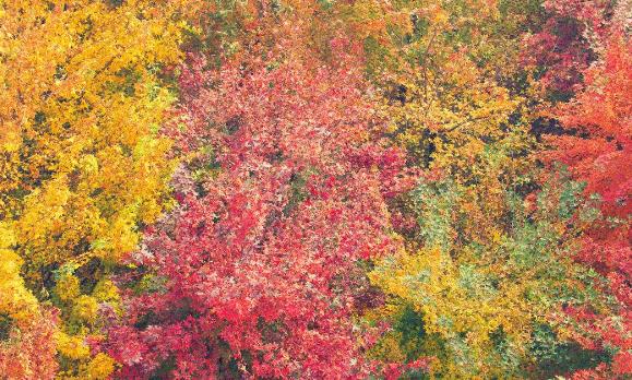 云南省昭通市十大旅游景點排行榜 昭通有什么好玩的地方