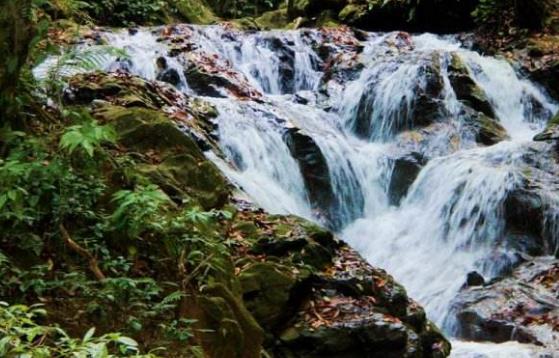 云南省德宏州十大旅游景點排行榜 德宏州有什么好玩的地方