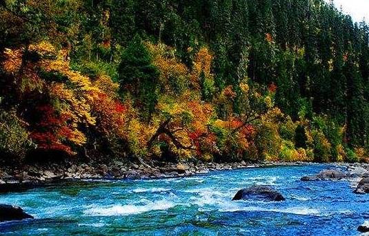 西藏林芝十大旅游景點排行榜 林芝有什么好玩的地方