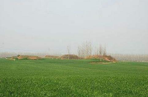 河南省漯河市十大旅游景點排行榜 漯河有什么好玩的地方