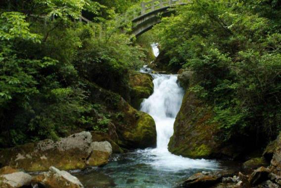 湖北省神農(nóng)架十大旅游景點排行榜 神農(nóng)架有什么好玩的地方