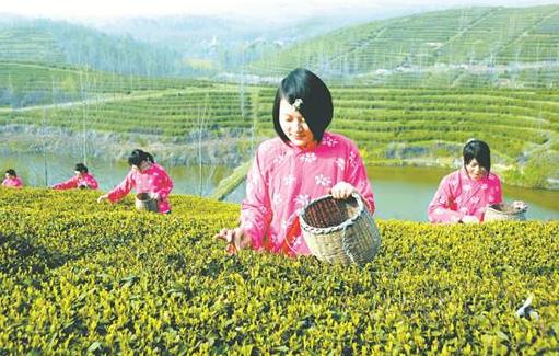 湖北省隨州十大旅游景點排行榜 隨州有什么好玩的地方