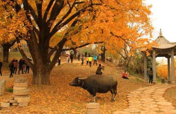 湖北省隨州十大旅游景點排行榜 隨州有什么好玩的地方