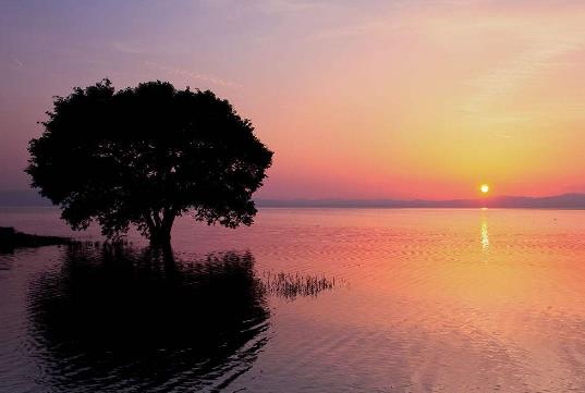 湖北省隨州十大旅游景點排行榜 隨州有什么好玩的地方
