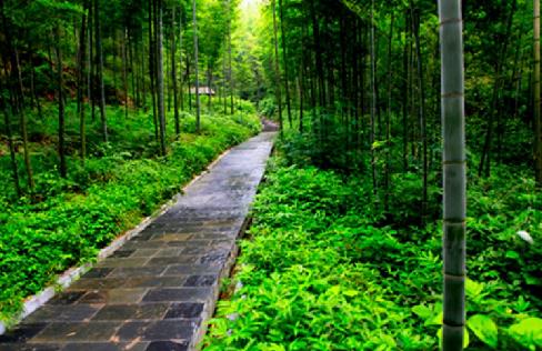 湖南省衡陽十大旅游景點排行榜 衡陽有什么好玩的地方