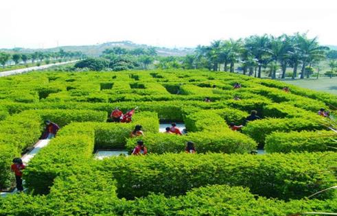 廣東省惠州市十大旅游景點排行榜 惠州有什么好玩的地方