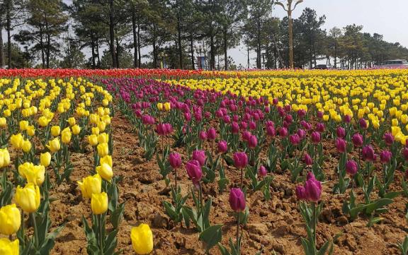 廣東省云浮市十大旅游景點排行榜 云浮有什么好玩的地方