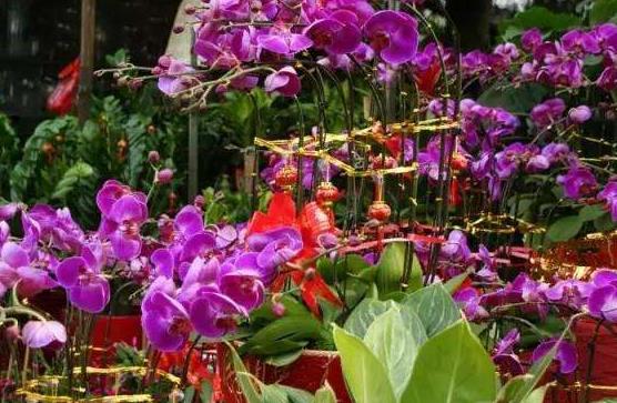 海南省海口市十大旅游景點排行榜 海口有什么好玩的地方