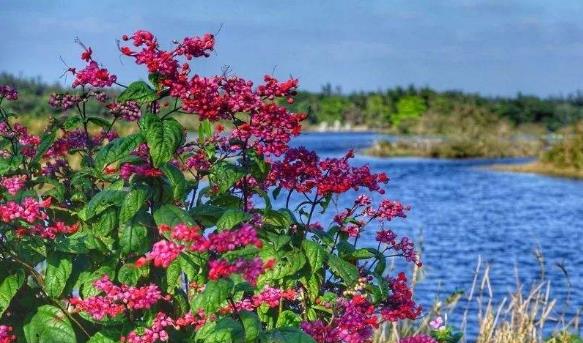 海南省昌江市十大旅游景點排行榜 昌江有什么好玩的地方