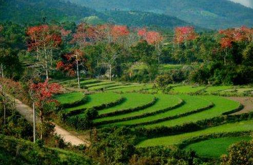 海南省昌江市十大旅游景點排行榜 昌江有什么好玩的地方