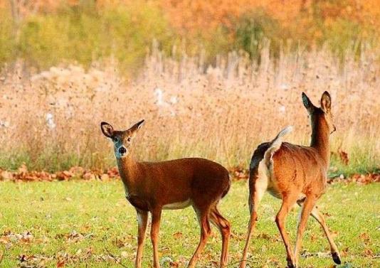 海南省屯昌市十大旅游景點排行榜 屯昌有什么好玩的地方