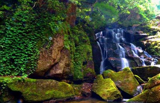 陜西省商洛市十大旅游景點排行榜 商洛有什么好玩的地方