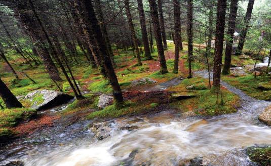 甘肅省張掖市十大旅游景點排行榜 張掖有什么好玩的地方