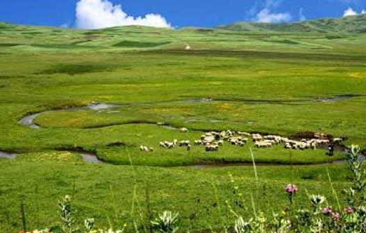 甘肅省定西市十大旅游景點排行榜 定西有什么好玩的地方