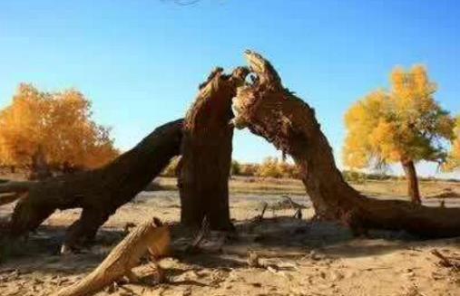 甘肅省威武市十大旅游景點排行榜 威武有什么好玩的地方