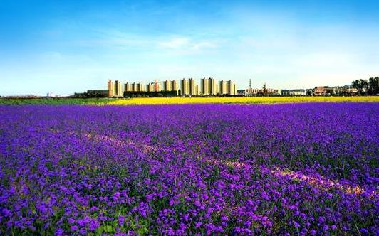 甘肅省金昌市十大旅游景點排行榜 金昌有什么好玩的地方