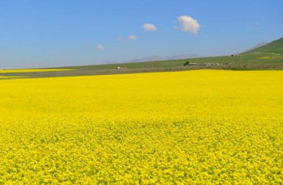 青海省海北市十大旅游景點排行榜 海北有什么好玩的地方