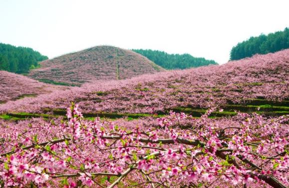 青海省海東市十大旅游景點排行榜 海東有什么好玩的地方