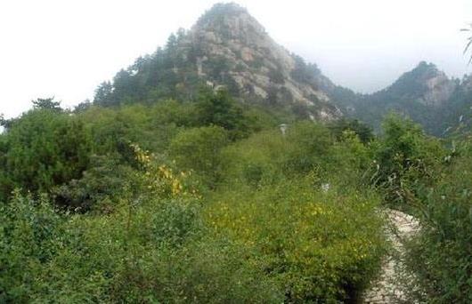 寧夏省石嘴山市十大旅游景點排行榜 石嘴山有什么好玩的地方