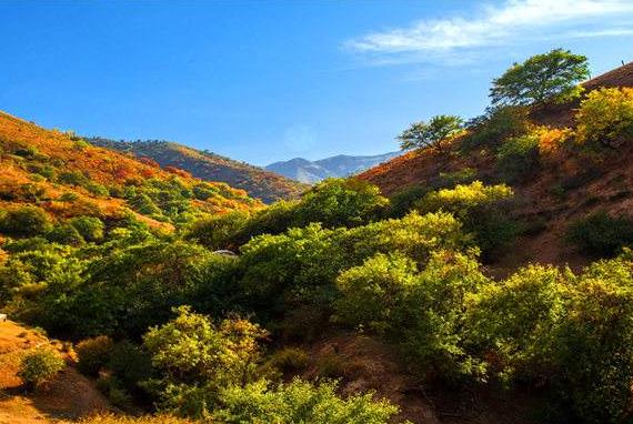 新疆省伊犁市十大旅游景點排行榜 伊犁有什么好玩的地方