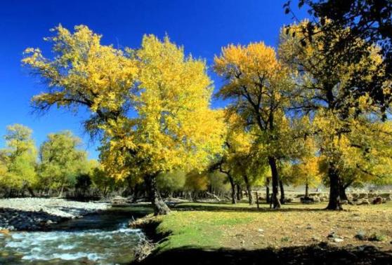 新疆省博爾塔拉十大旅游景點(diǎn)排行榜 博爾塔拉有什么好玩的地方