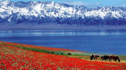 新疆省博爾塔拉十大旅游景點(diǎn)排行榜 博爾塔拉有什么好玩的地方
