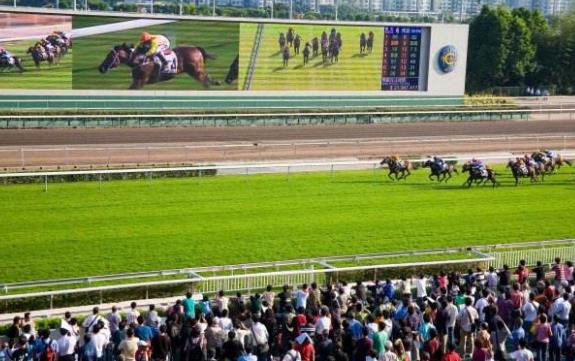 香港油沙田區(qū)十大旅游景點排行榜 沙田區(qū)有什么好玩的地方