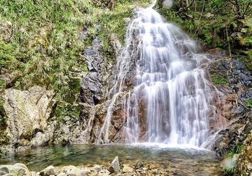 香港油大埔區十大旅游景點排行榜 大埔區有什么好玩的地方