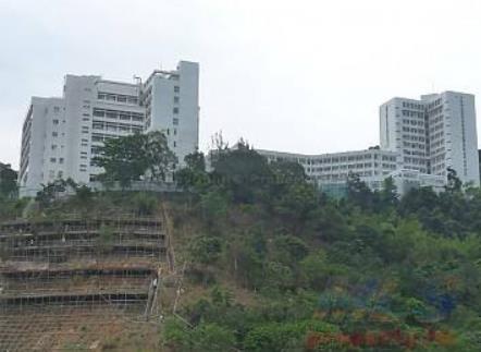 香港油大埔區十大旅游景點排行榜 大埔區有什么好玩的地方