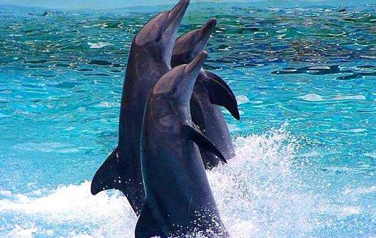 臺灣新北市十大旅游景點排行榜 新北市有什么好玩的地方