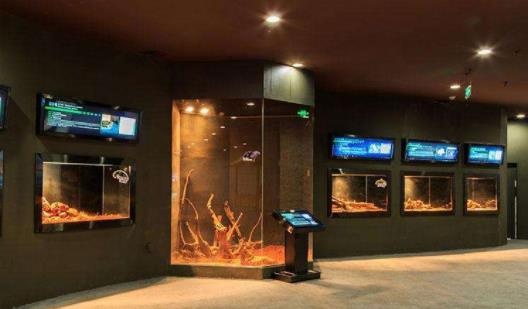 臺灣臺北市十大旅游景點排行榜 臺北市有什么好玩的地方