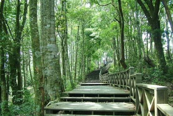 臺灣高雄市十大旅游景點排行榜 高雄市有什么好玩的地方