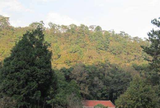 臺灣南投十大旅游景點排行榜 南投有什么好玩的地方