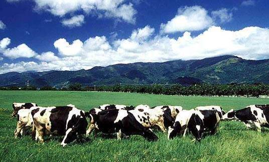 臺灣臺東十大旅游景點排行榜 臺東有什么好玩的地方