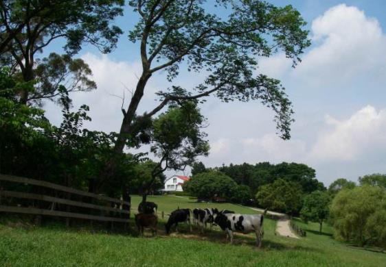 臺灣苗栗十大旅游景點排行榜 苗栗有什么好玩的地方