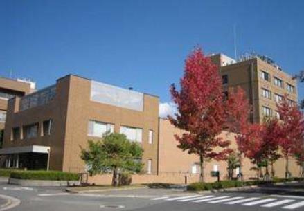 日本廣島縣十大旅游景點(diǎn)排行榜 廣島縣有什么好玩的地方