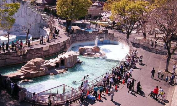 日本愛知縣十大旅游景點排行榜 愛知縣有什么好玩的地方