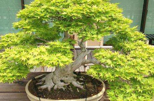 日本埼玉縣十大旅游景點排行榜 埼玉縣有什么好玩的地方