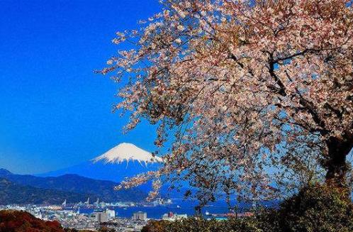 日本靜岡縣十大旅游景點排行榜 靜岡縣有什么好玩的地方