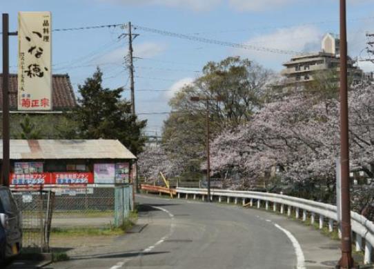 日本靜岡縣十大旅游景點排行榜 靜岡縣有什么好玩的地方