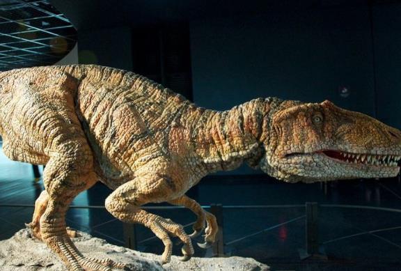 日本福井縣八大旅游景點排行榜 福井縣有什么好玩的地方