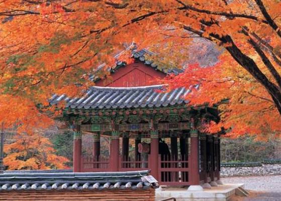 韓國全羅北道十大旅游景點排行榜 全羅北道有什么好玩的地方