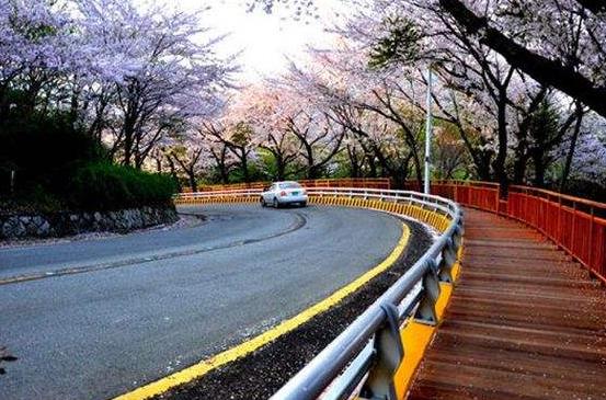 韓國釜山十大旅游景點排行榜 釜山有什么好玩的地方