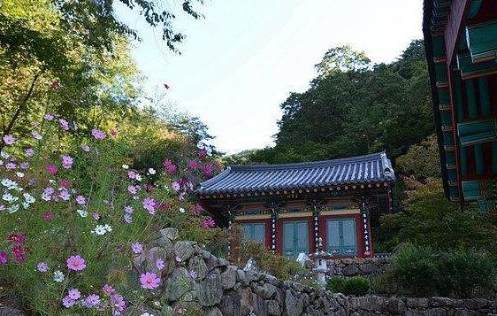 韓國慶尚南道十大旅游景點排行榜 慶尚南道有什么好玩的地方