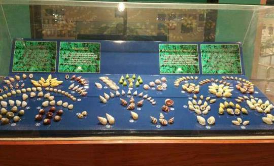 泰國普吉十大旅游景點排行榜 普吉旅游有什么好玩的地方