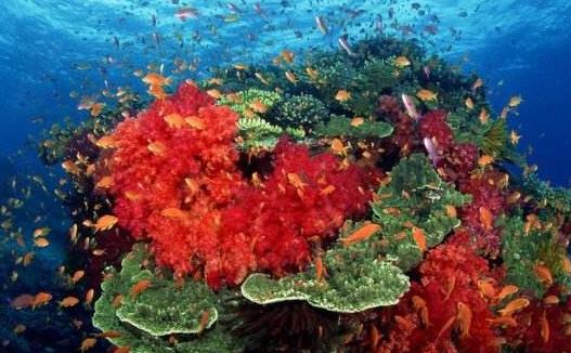 泰國春武里府十大旅游景點(diǎn)排行榜 春武里府旅游有什么好玩的地方