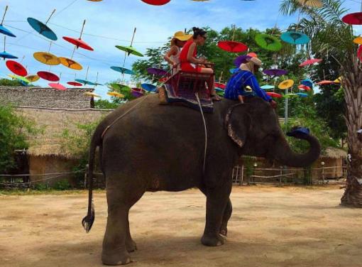 泰國春武里府十大旅游景點(diǎn)排行榜 春武里府旅游有什么好玩的地方